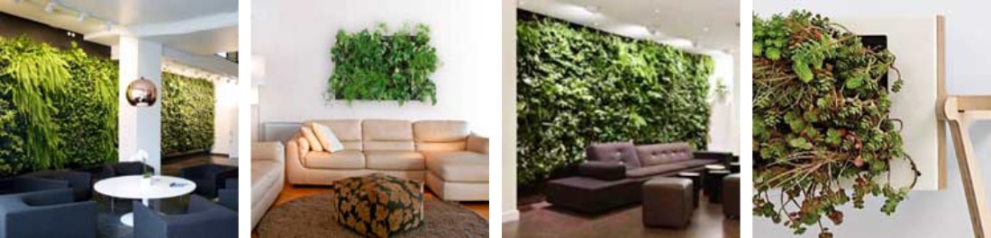 «Живая стена» растения в интерьере
